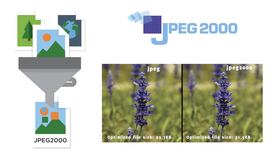 JP2-JPEG2000 - JPEG 2000